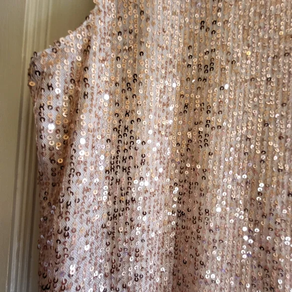 CLEARANCE LOFT Sequin Sleeveless Top - Rose Gold - Picture 10 of 13